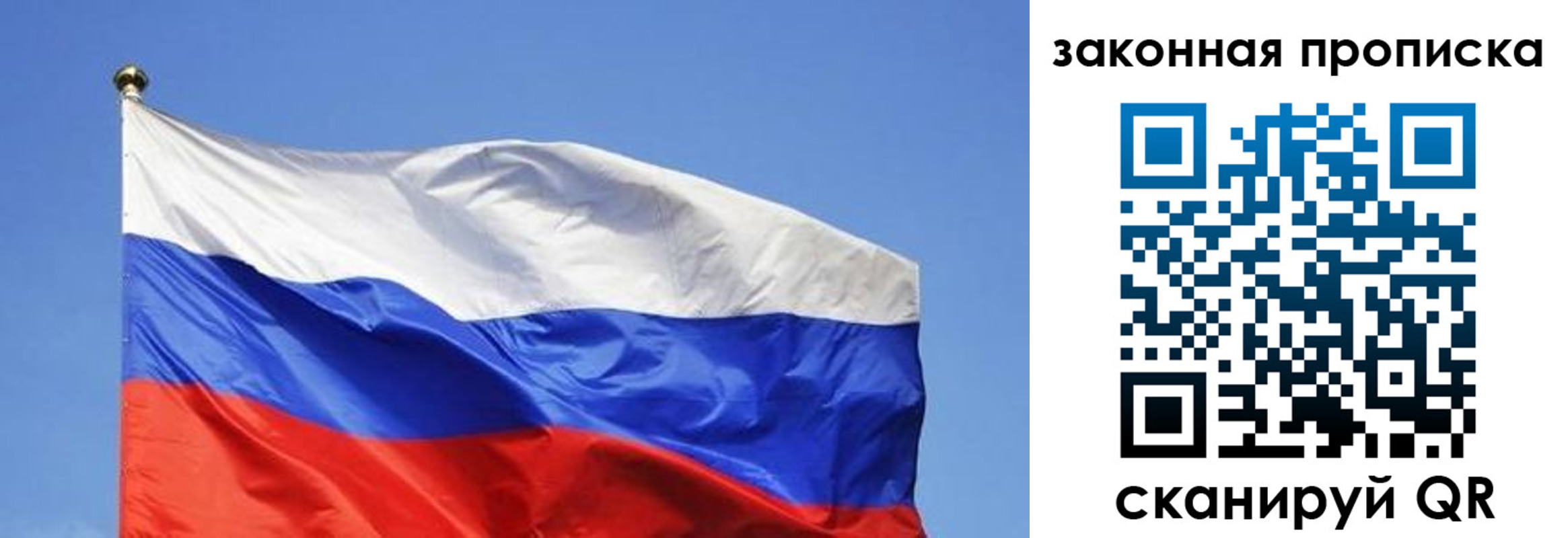 временная регистрация надежно в Коле